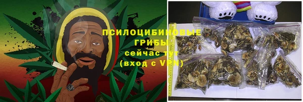 дживик Балахна